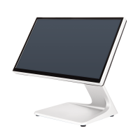 Colormetrics P5500, J6412, DDR4, 39,6cm (15,6), Projected...